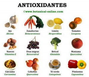 Antioxidantes naturales 